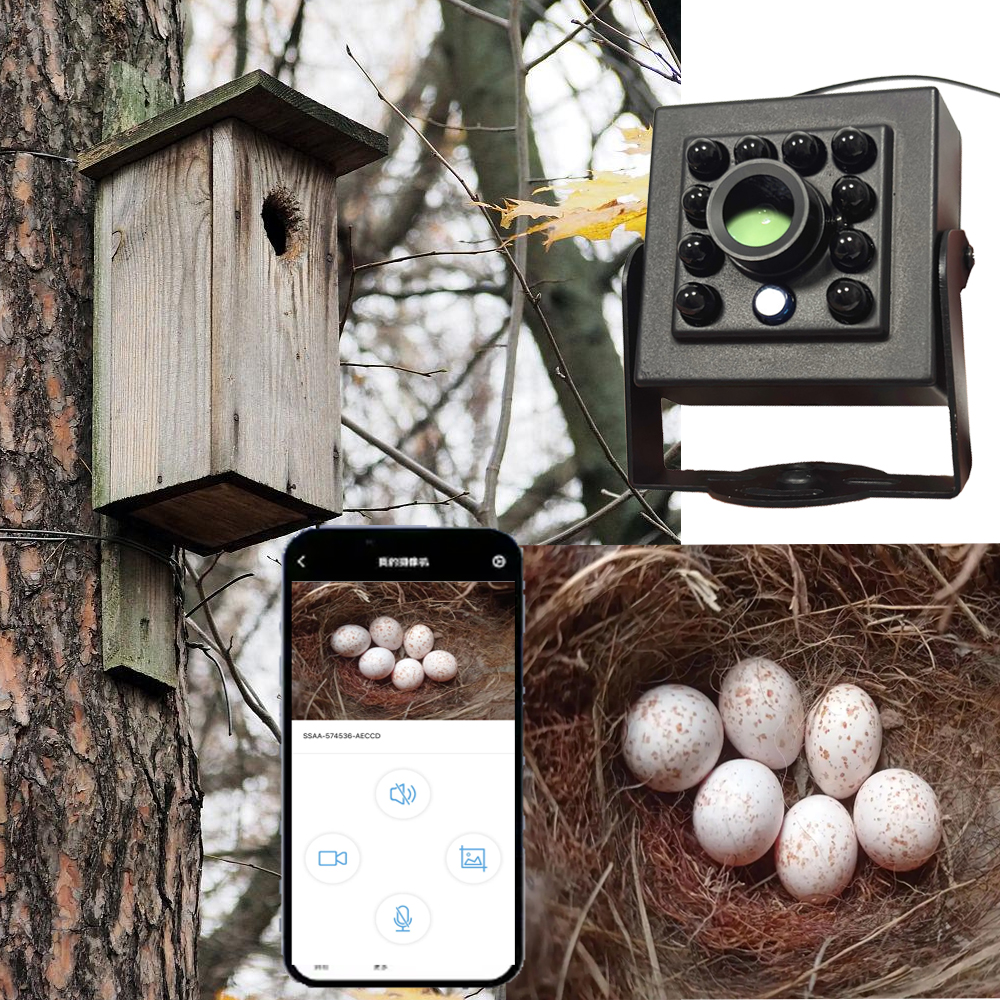 Smart Bird Feeder Camera - WiFi Bird Box Camera POE 5MP