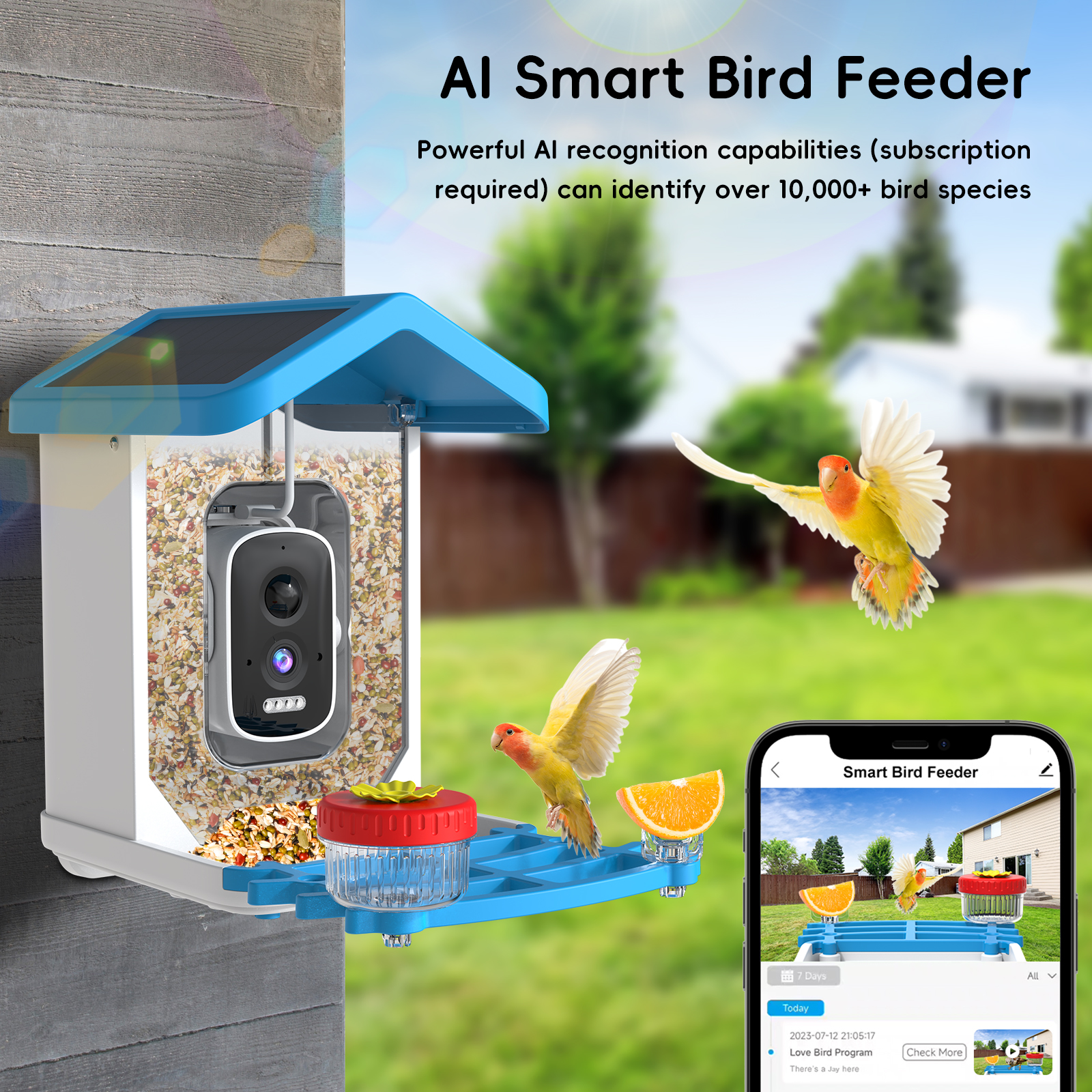 Smart Bird Feeder Camera - Solar Bird Feed Camera Wireless Outdoor
