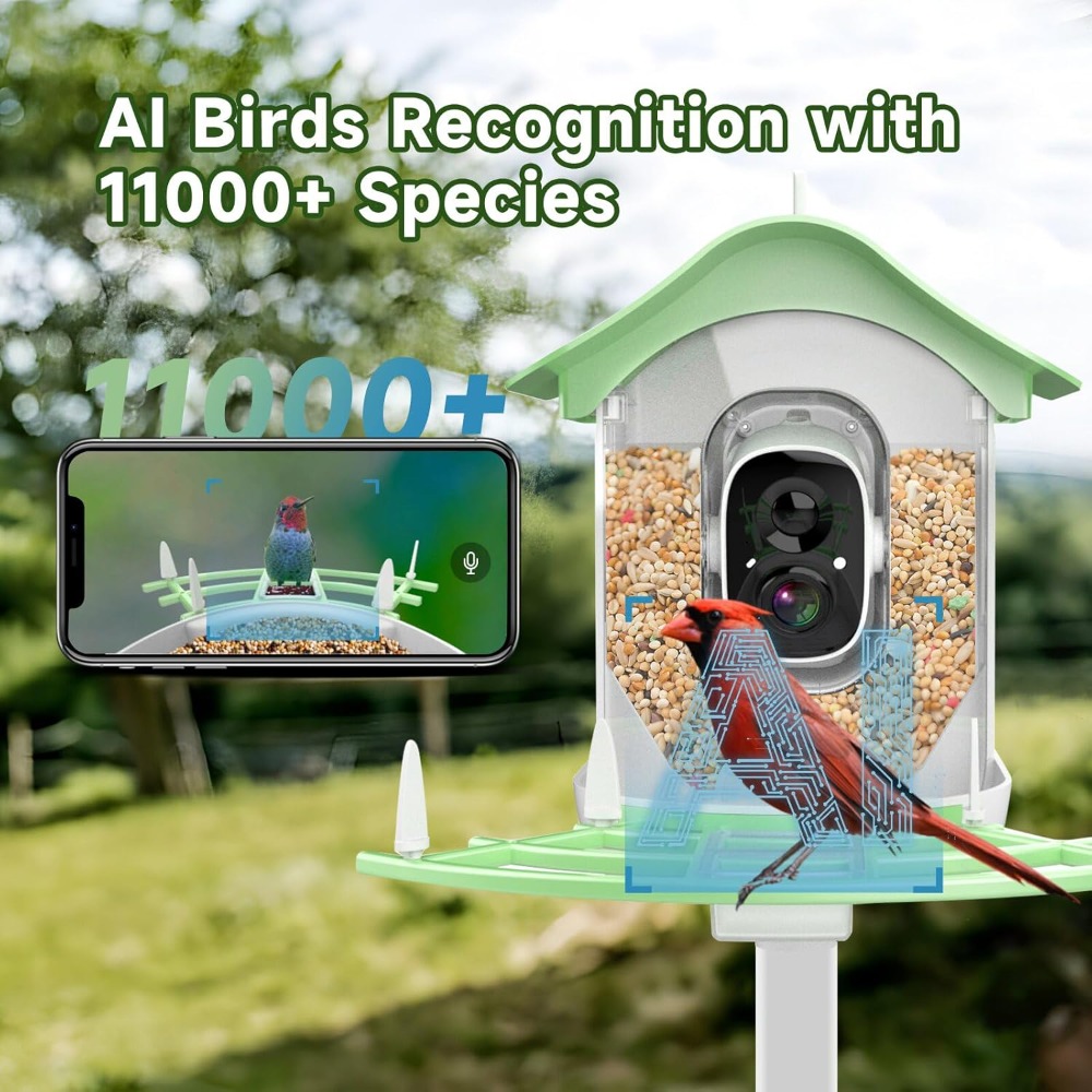 Solar Powered Smart Bird Feede - Smart Bird Feeder Camera review and price