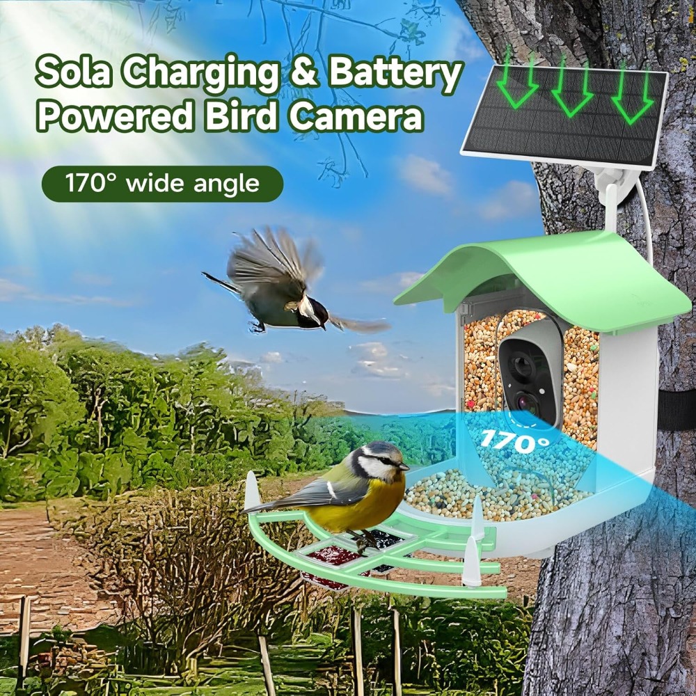 Solar Powered Smart Bird Feede - Smart Bird Feeder Camera review and price