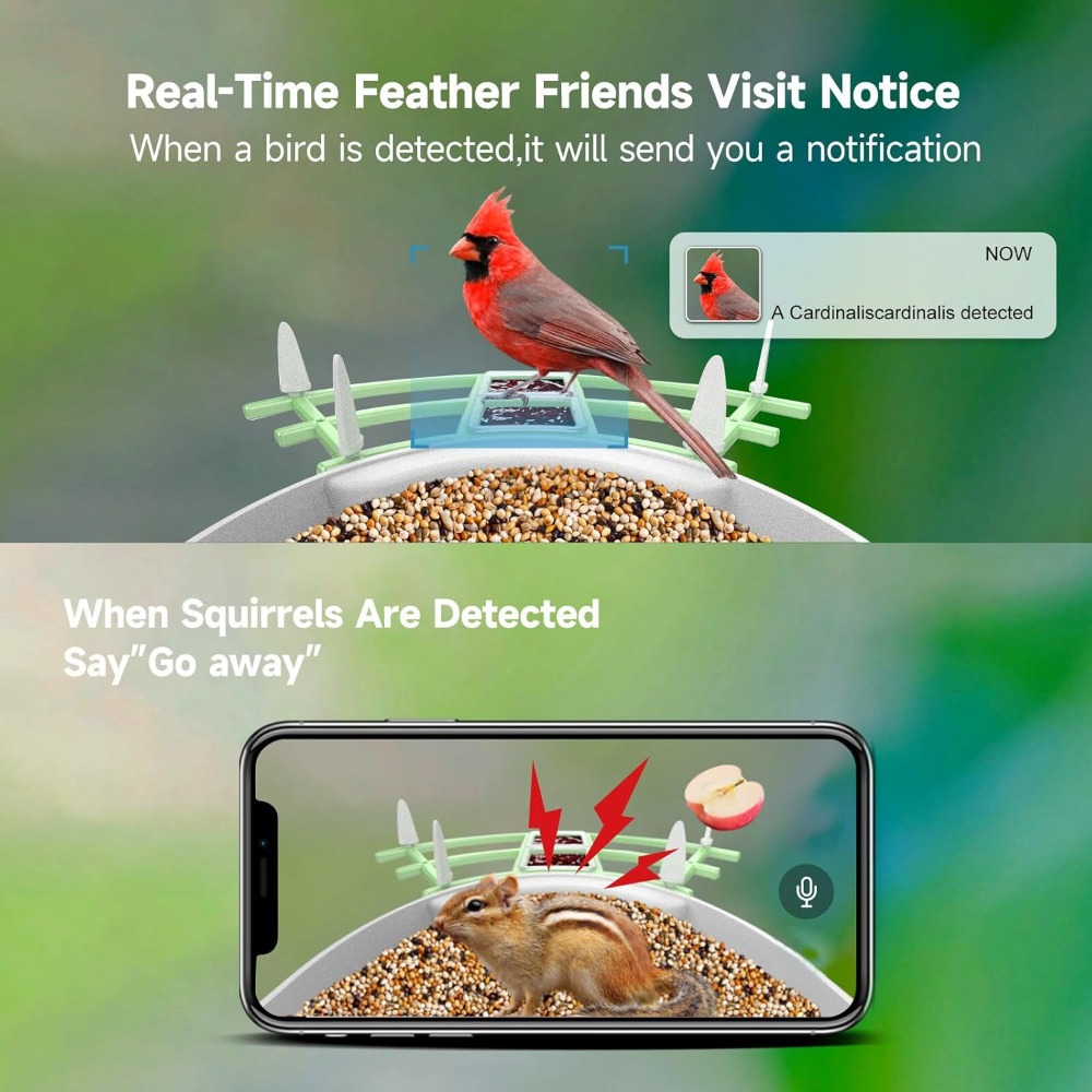 Solar Powered Smart Bird Feede - Smart Bird Feeder Camera review and price