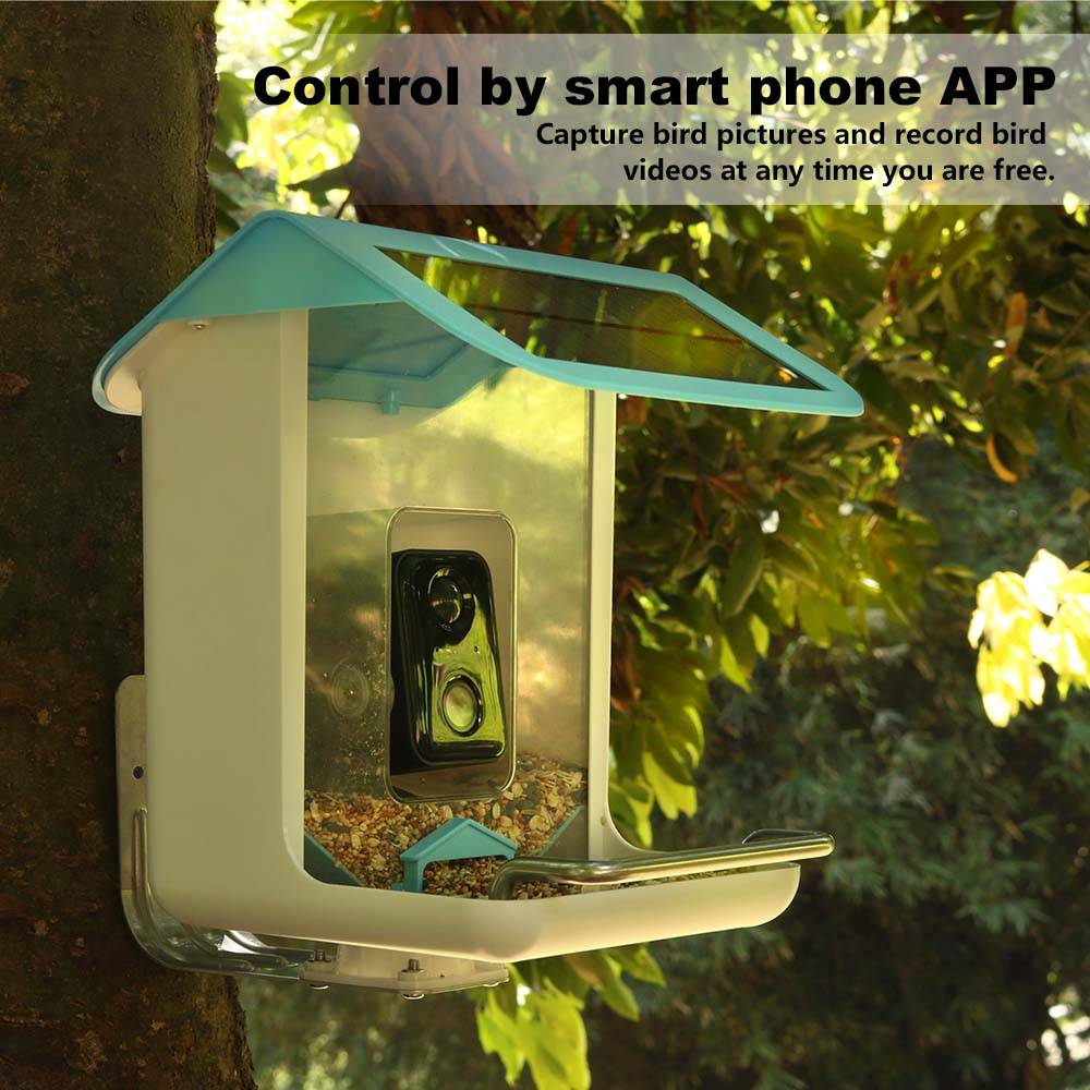 Outdoor Wildlife Wifi Camera C - Smart Bird Feeder Camera review and price