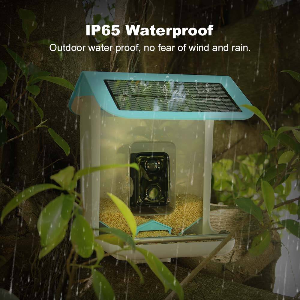 Outdoor Wildlife Wifi Camera C - Smart Bird Feeder Camera review and price