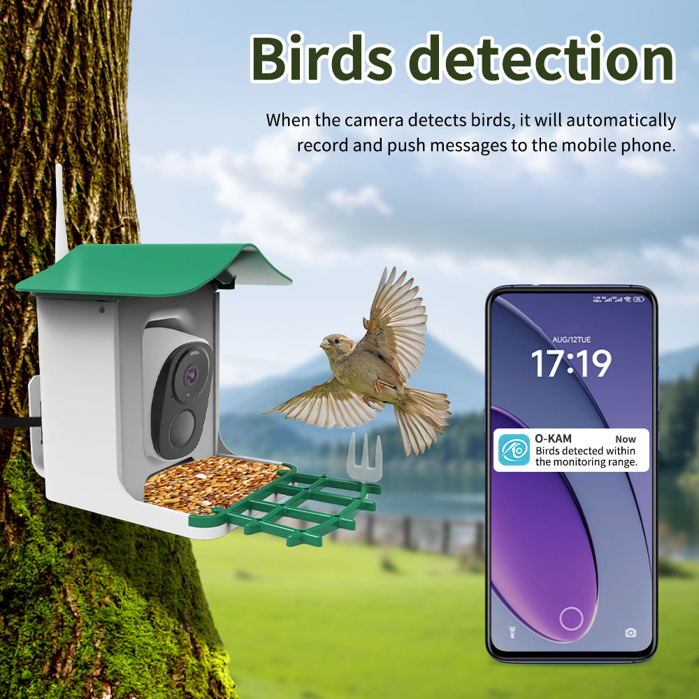 OEM 3MP O-KAM WIFI Color Night - Smart Bird Feeder Camera review and price