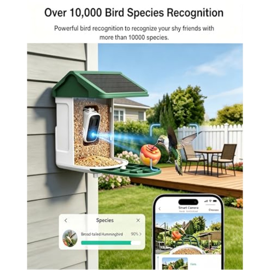 Bird Feeder with Camera Solar  - Smart Bird Feeder Camera review and price