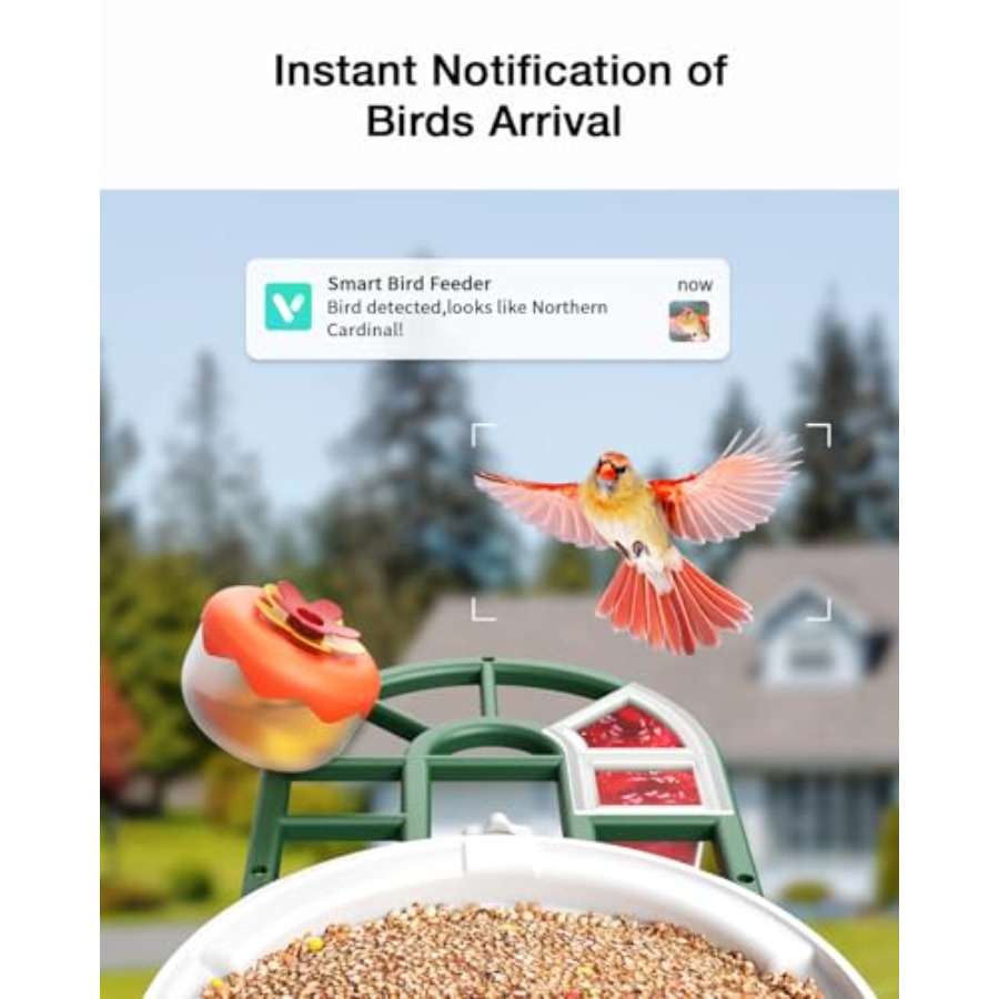 Bird Feeder with Camera Solar  - Smart Bird Feeder Camera review and price