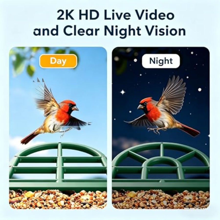 Bird Feeder with Camera Solar  - Smart Bird Feeder Camera review and price