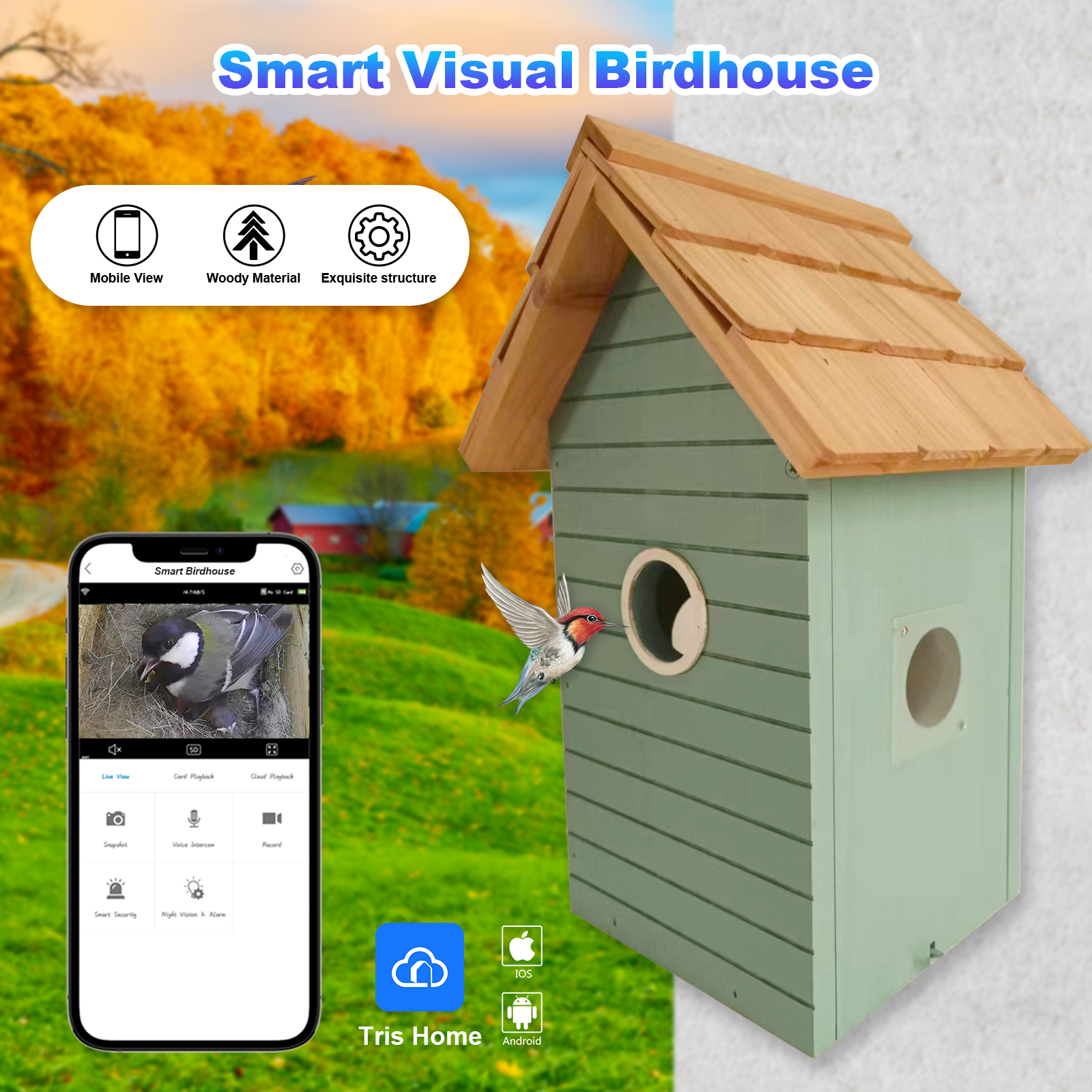 Factory Price 3MP Smart Bird F - Smart Bird Feeder Camera review and price