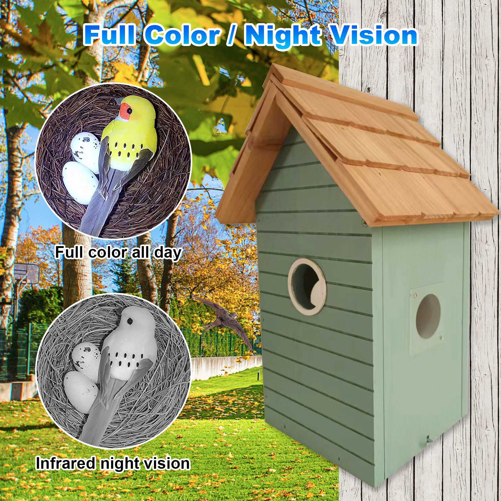 Factory Price 3MP Smart Bird F - Smart Bird Feeder Camera review and price