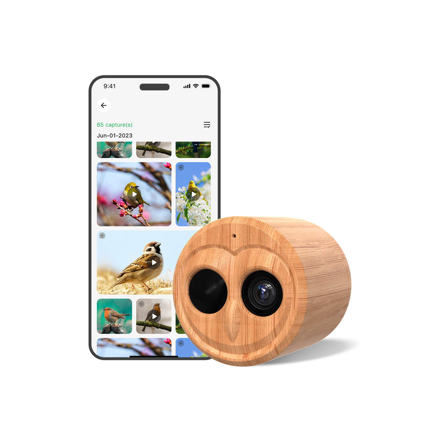 4K Smart Bird Feeder With Came - Smart Bird Feeder Camera review and price