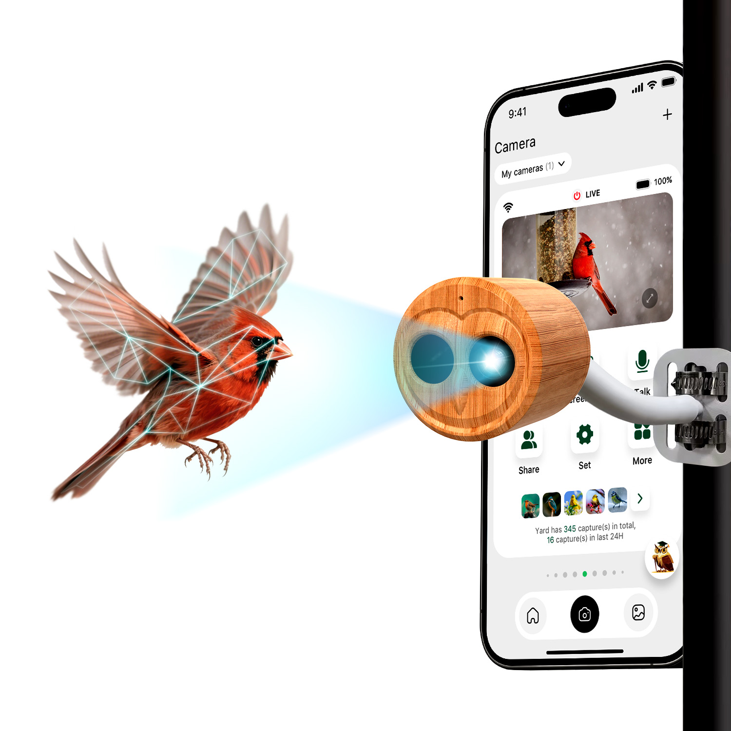 4K Smart Bird Feeder With Came - Smart Bird Feeder Camera review and price
