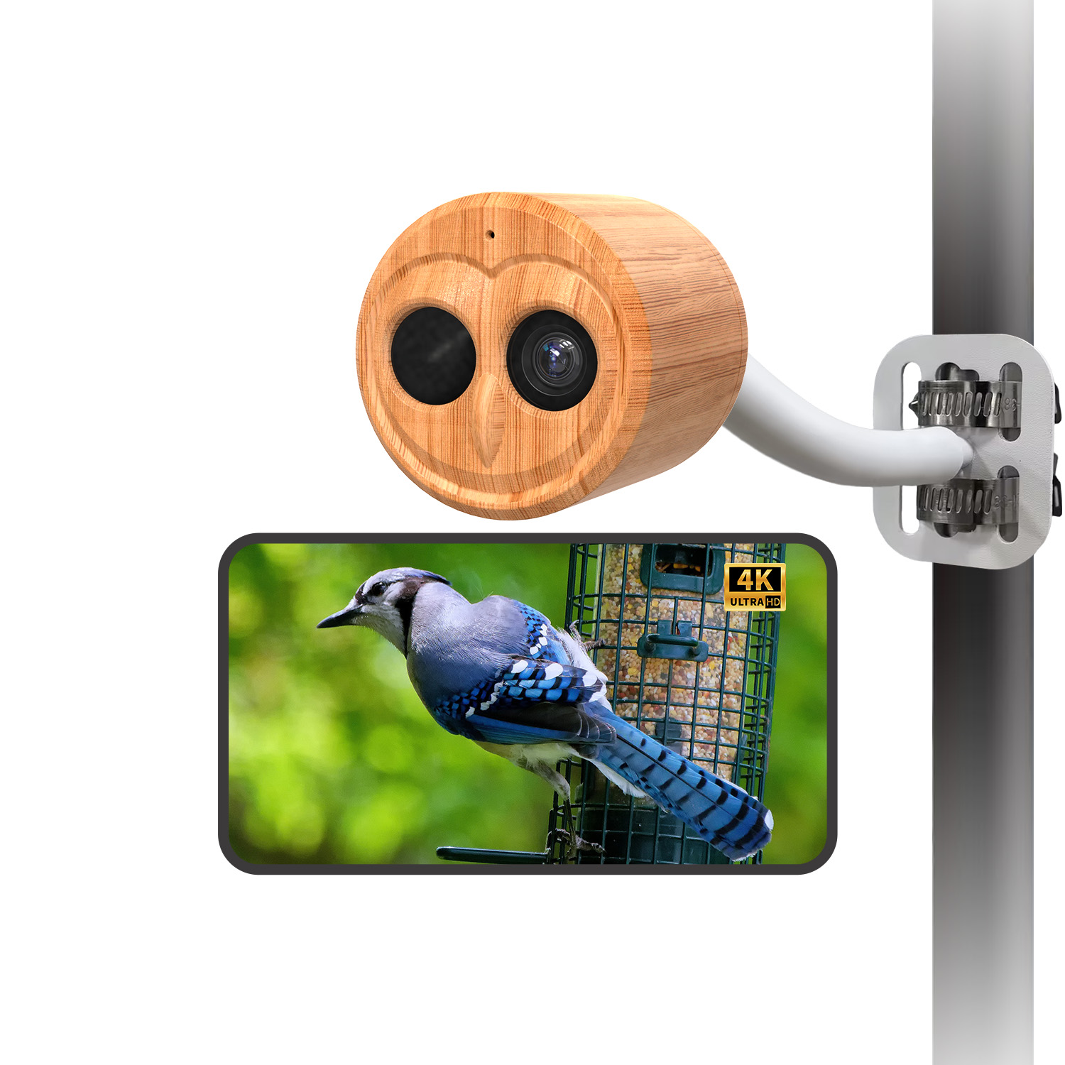 4K Smart Bird Feeder With Came - Smart Bird Feeder Camera review and price