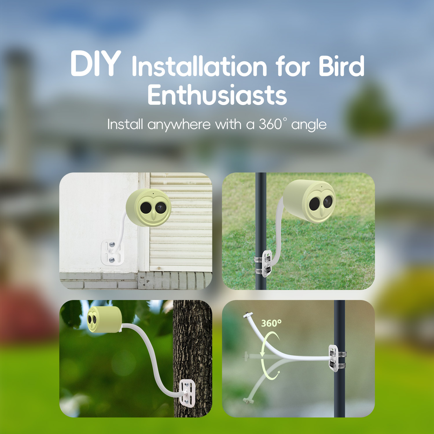 WILLFINE Automatic AI Bird Fee - Smart Bird Feeder Camera review and price