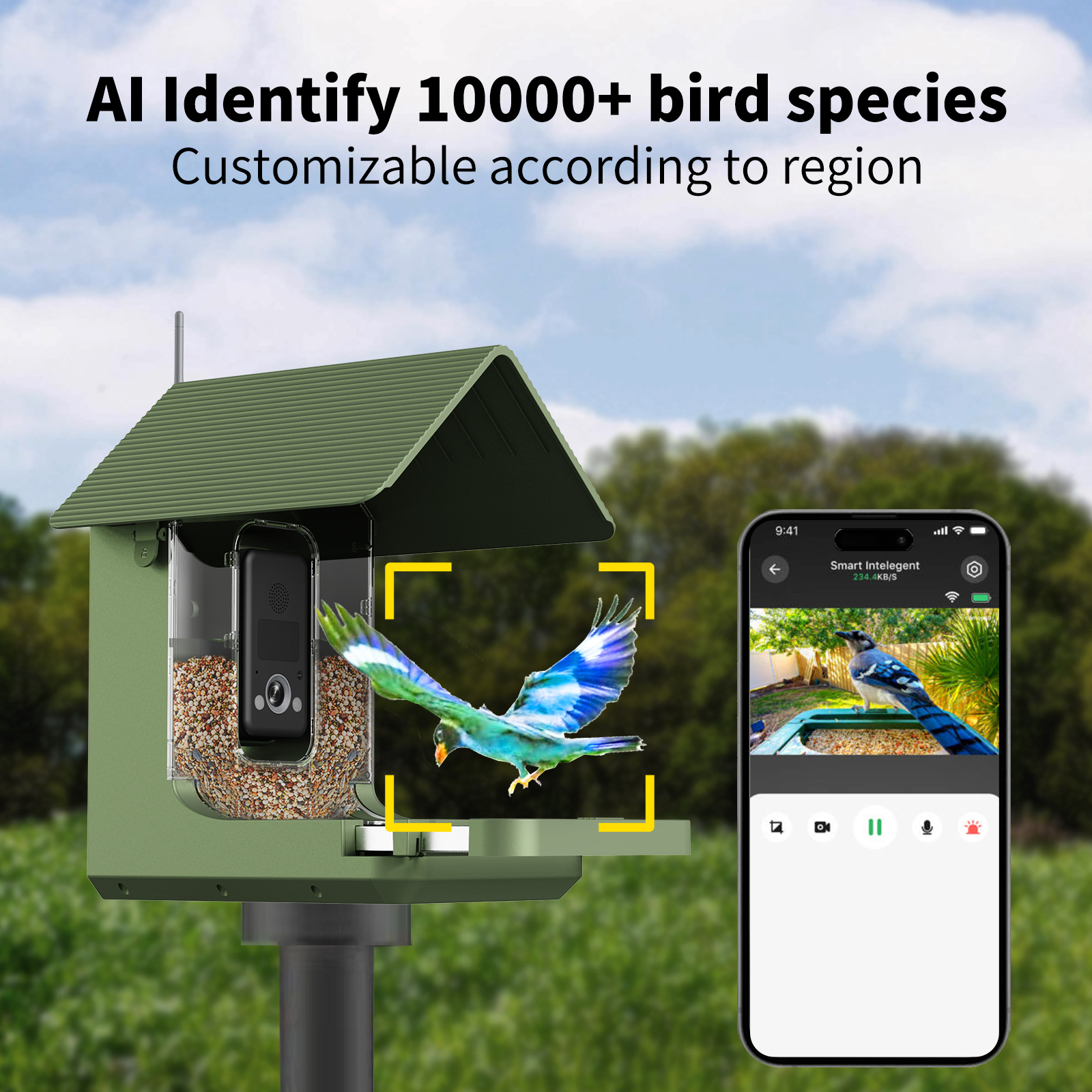 Willfine 0.4S Trigger Speed AI - Smart Bird Feeder Camera review and price