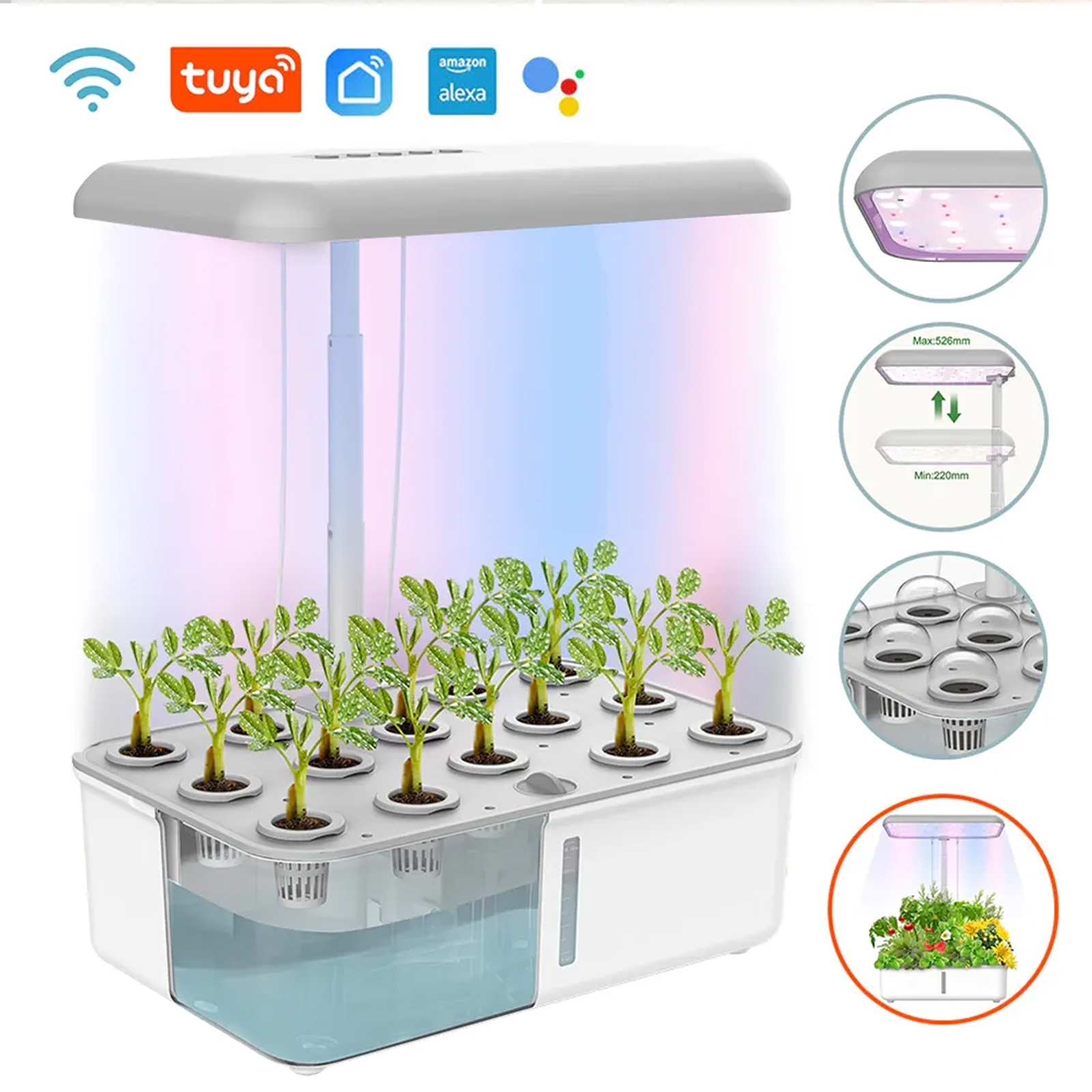 Tuya WiFi Plant Hydroponics Sy - Smart Garden Click And Grow review and price