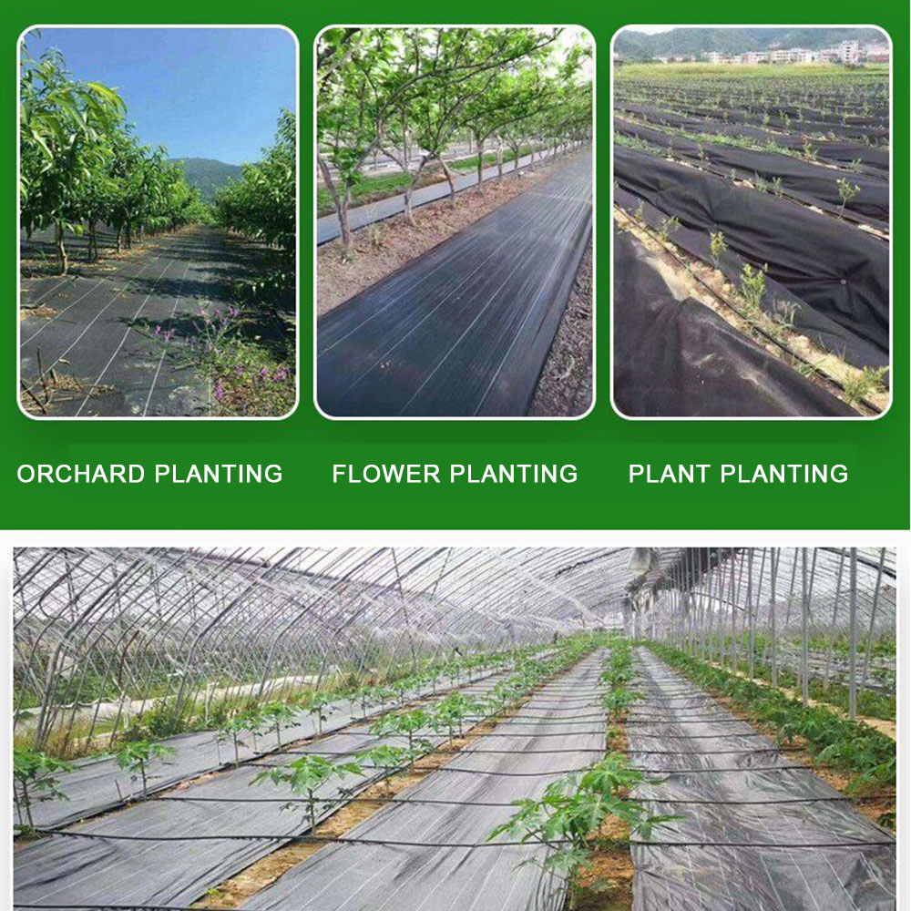 16.4ft/32.8ft PE Woven Weed Co - Smart Garden Greenhouse review and price