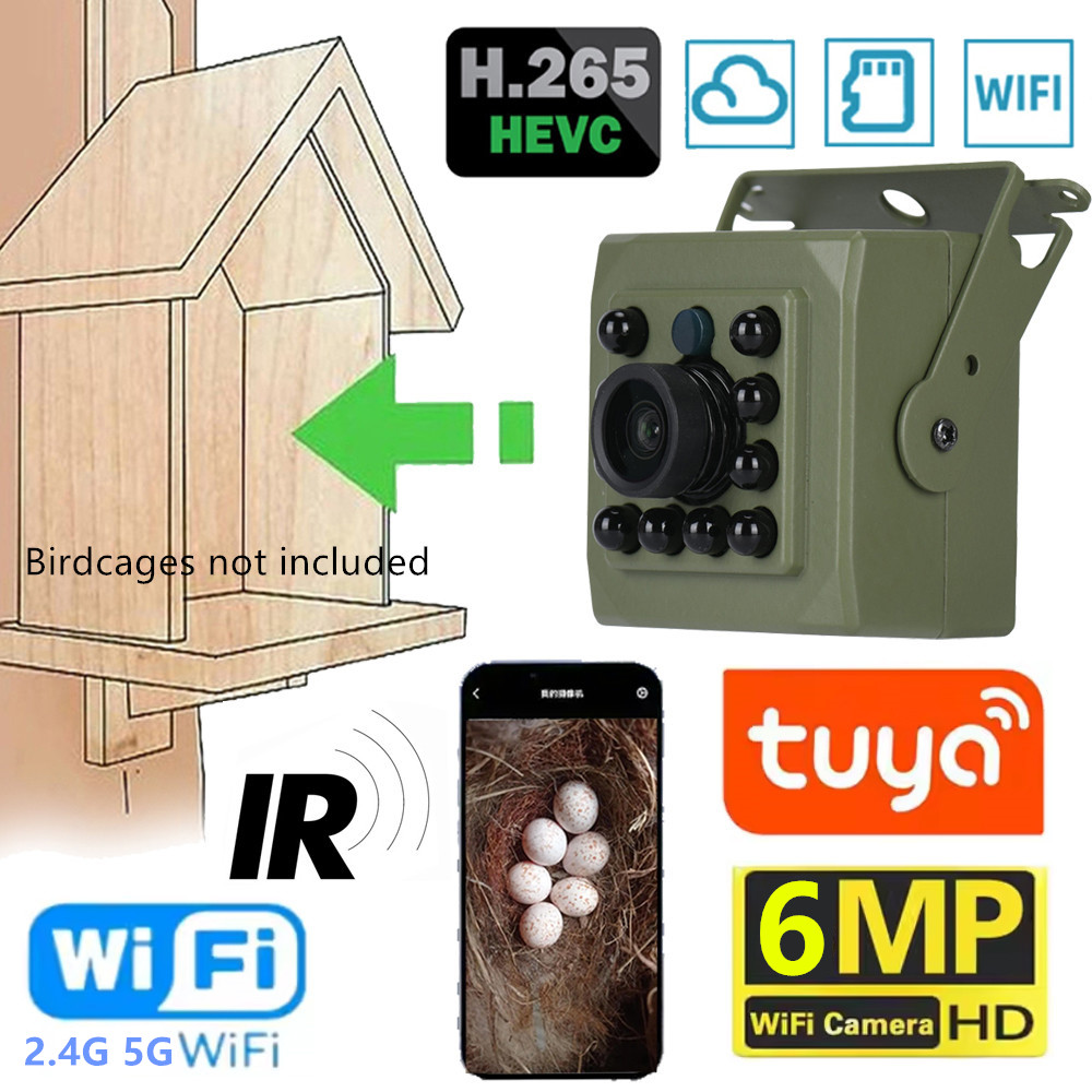 6MP 4MP POE 2K Tuya Mini Wirel - Smart Bird Feeder Camera review and price