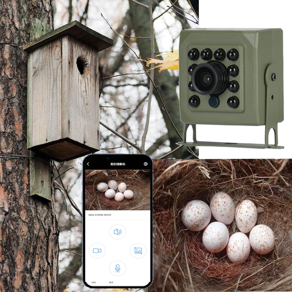 6MP 4MP POE 2K Tuya Mini Wirel - Smart Bird Feeder Camera review and price