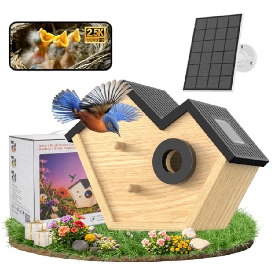 Wooden Bird House with Camera, - Smart Bird Feeder Camera review and price