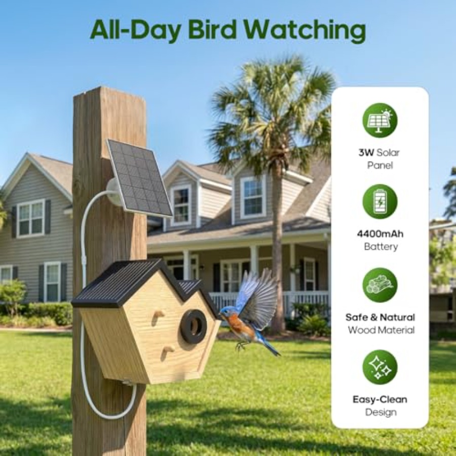 Wooden Bird House with Camera, - Smart Bird Feeder Camera review and price