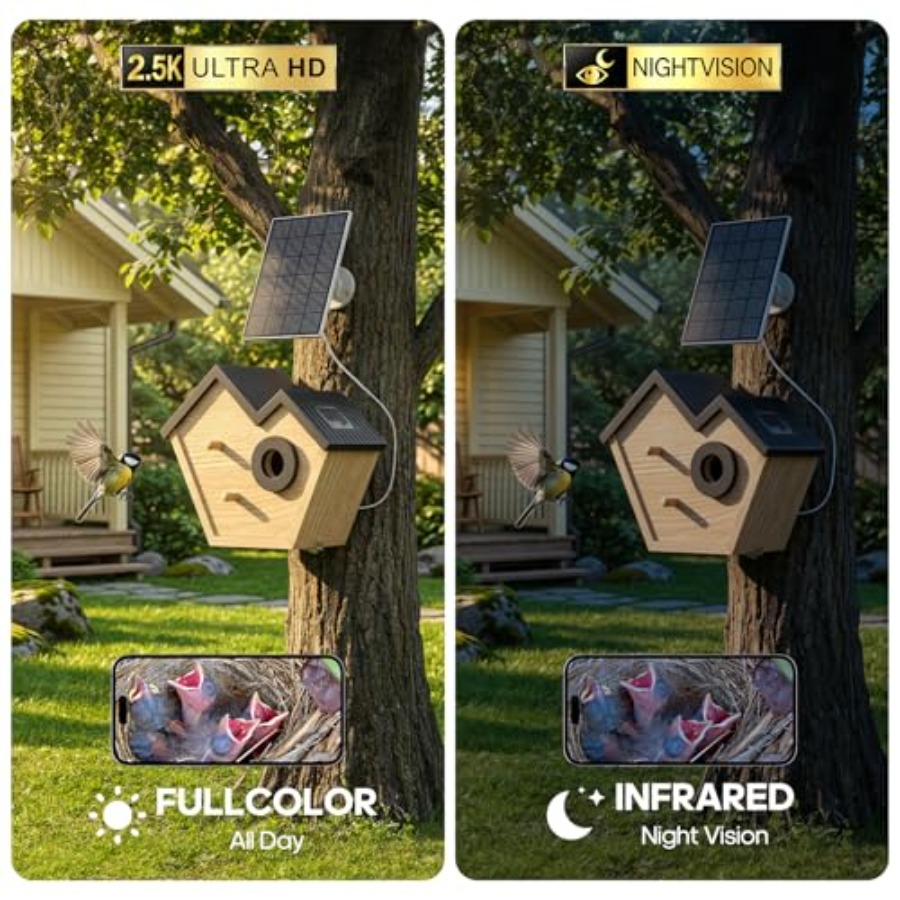 Wooden Bird House with Camera, - Smart Bird Feeder Camera review and price