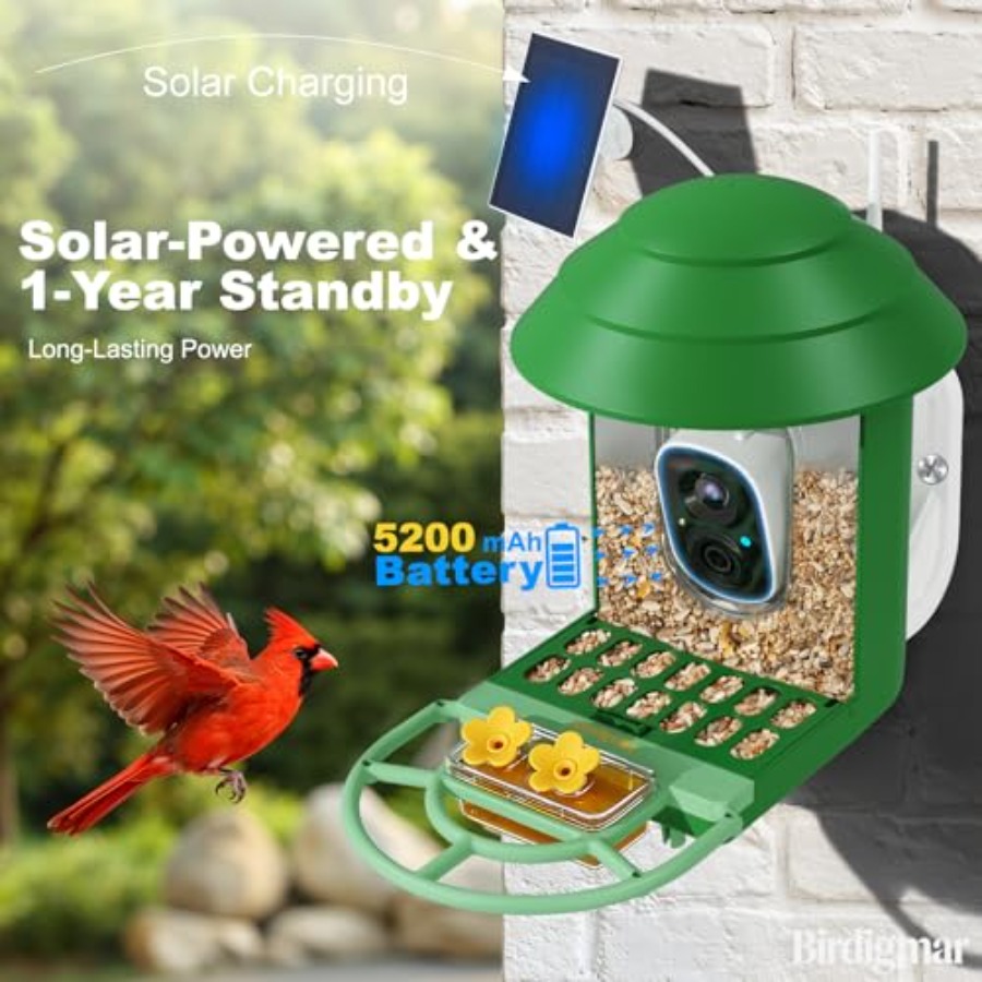 Bird Feeder with Camera for Ou - Smart Bird Feeder Camera review and price