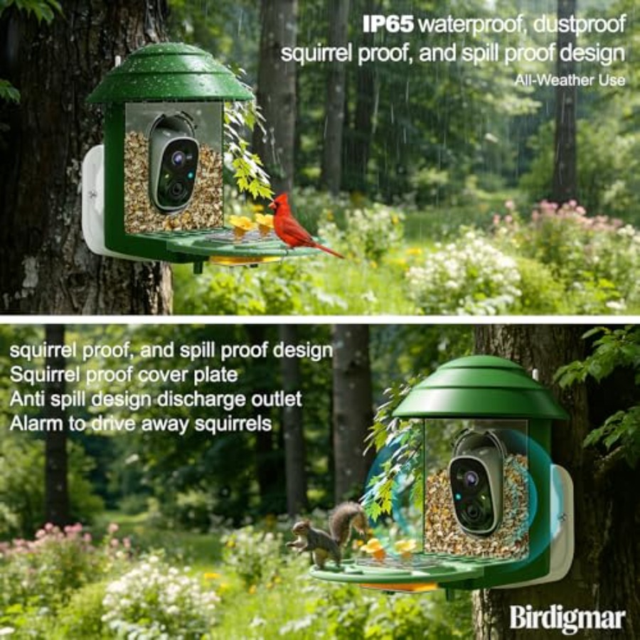 Bird Feeder with Camera for Ou - Smart Bird Feeder Camera review and price