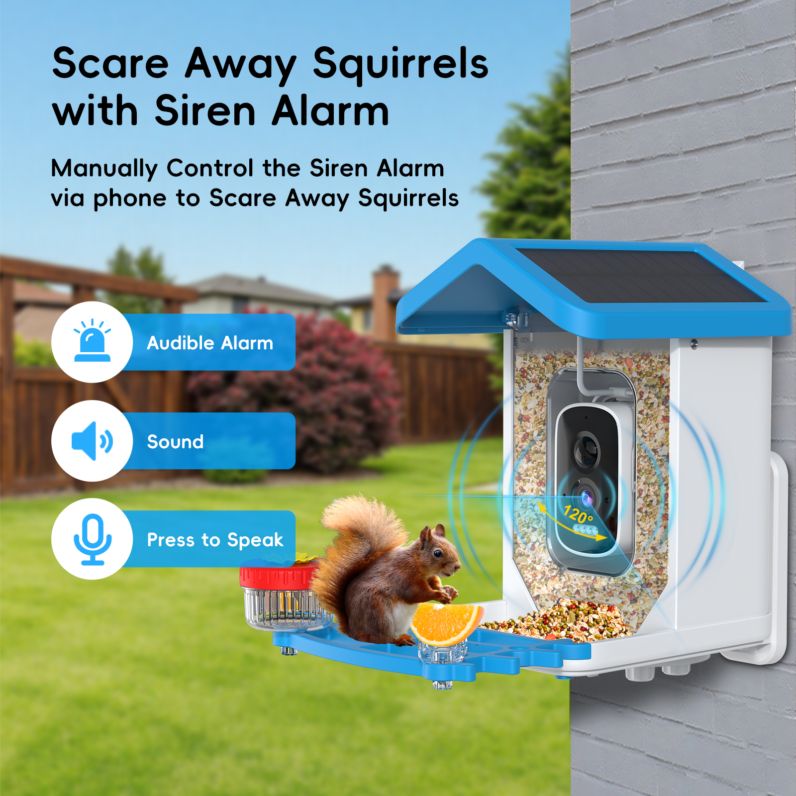 Solar Bird Feed Camera Wireles - Smart Bird Feeder Camera review and price