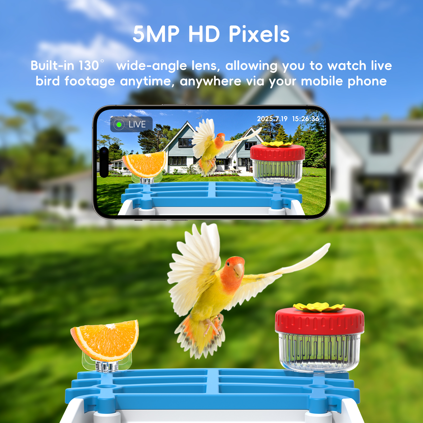 Solar Bird Feed Camera Wireles - Smart Bird Feeder Camera review and price