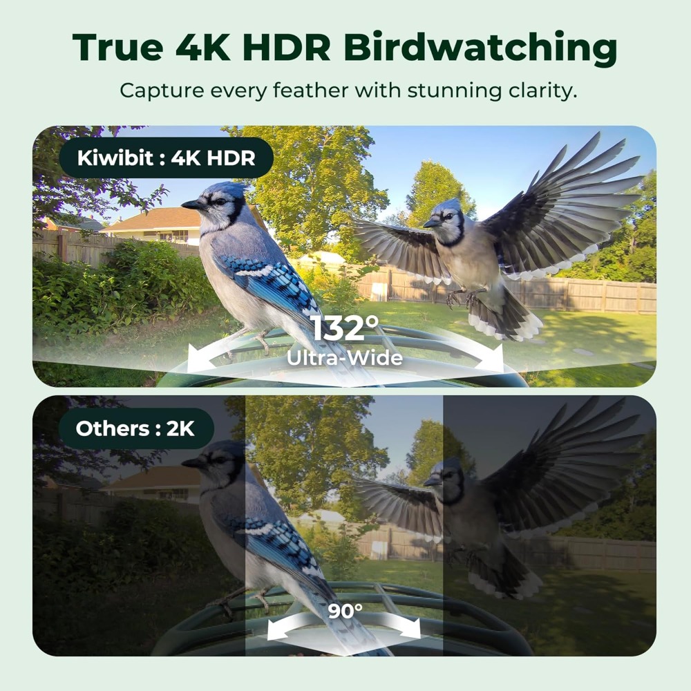 Smart Bird Feeder with Camera  - Smart Bird Feeder Camera review and price