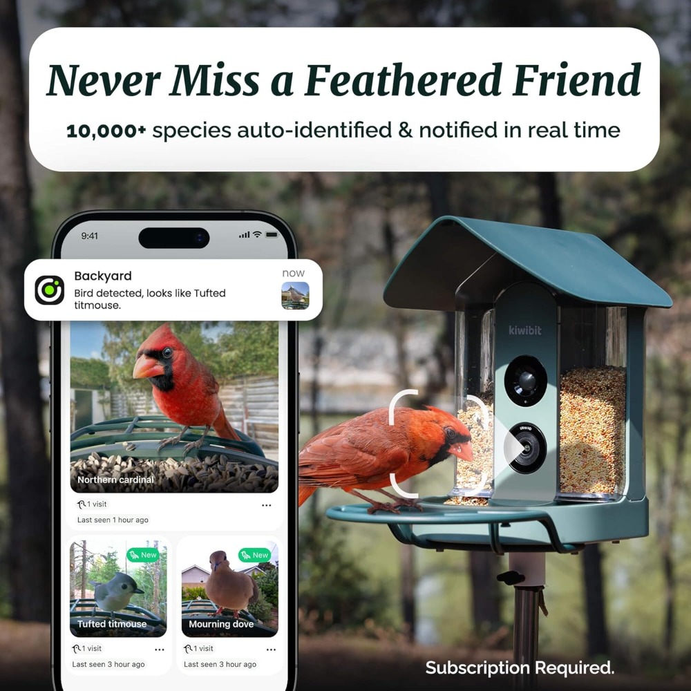 Smart Bird Feeder with Camera  - Smart Bird Feeder Camera review and price