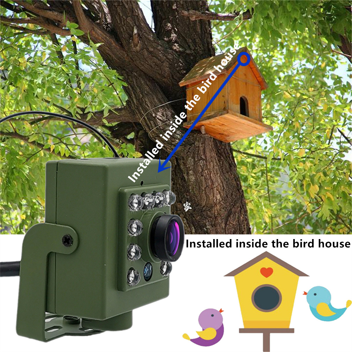 Bird Watching Camera Wireless  - Smart Bird Feeder Camera review and price