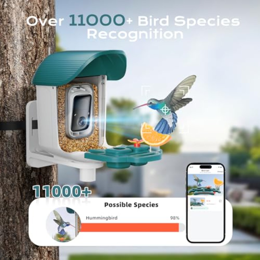 Bird Feeder with Camera Solar  - Smart Bird Feeder Camera review and price