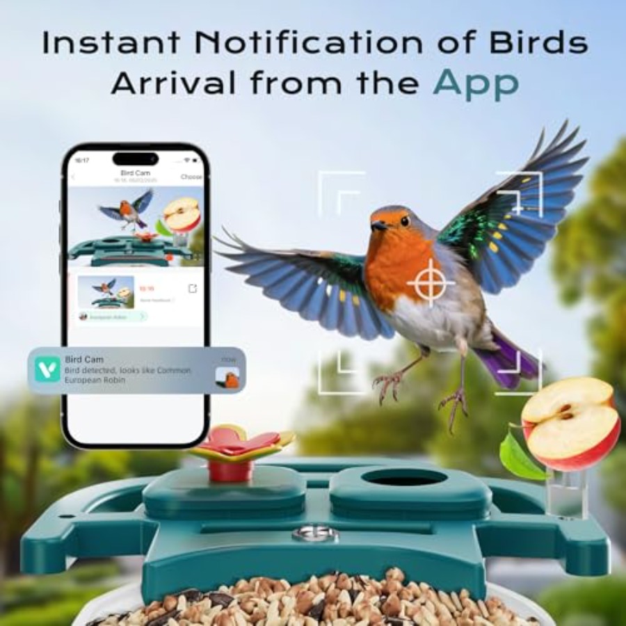 Bird Feeder with Camera Solar  - Smart Bird Feeder Camera review and price