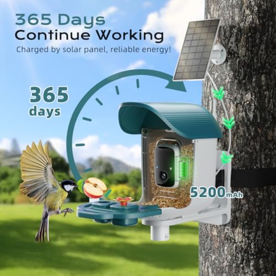 Bird Feeder with Camera Solar  - Smart Bird Feeder Camera review and price