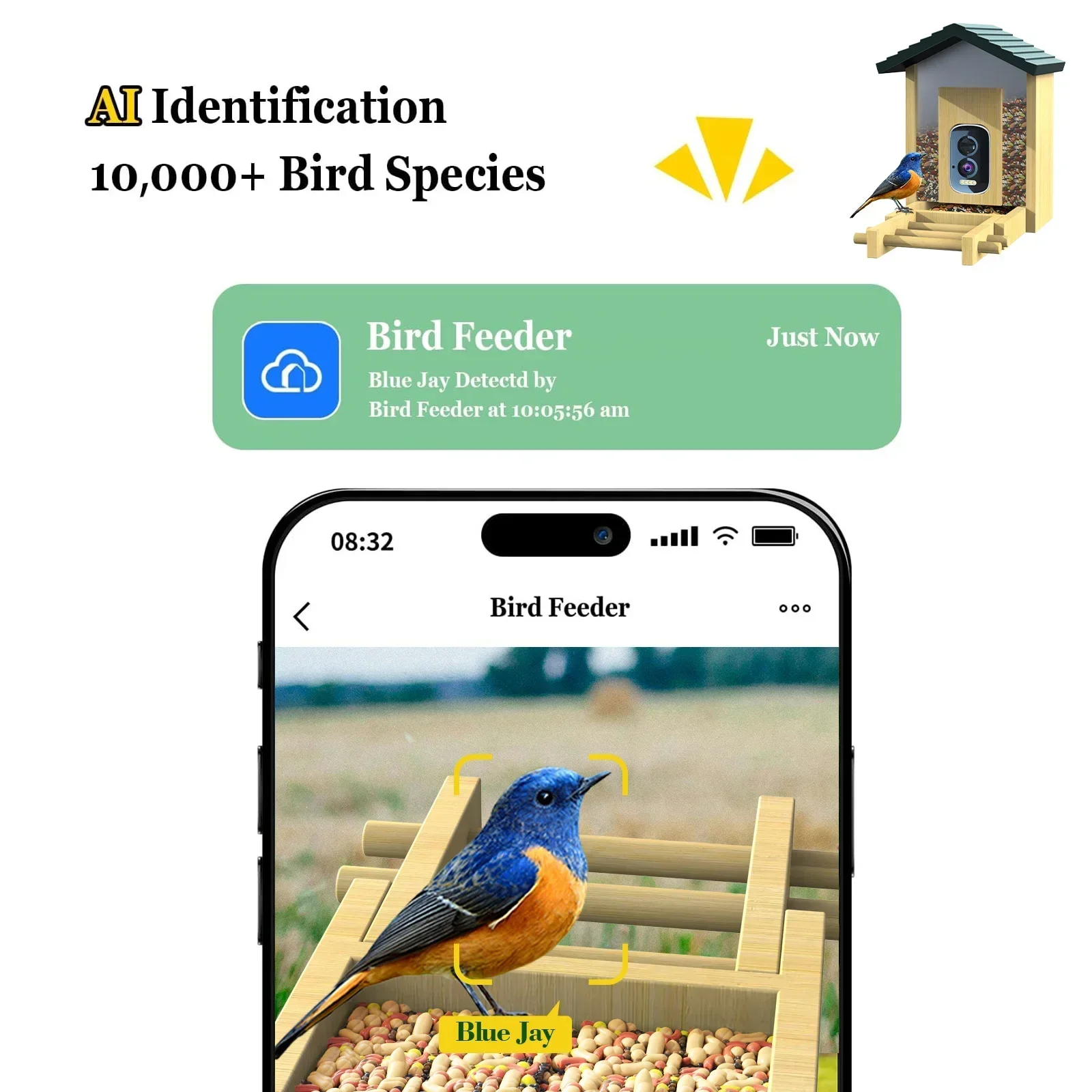 In stock Bamboo with Solar Pow - Smart Bird Feeder Camera review and price