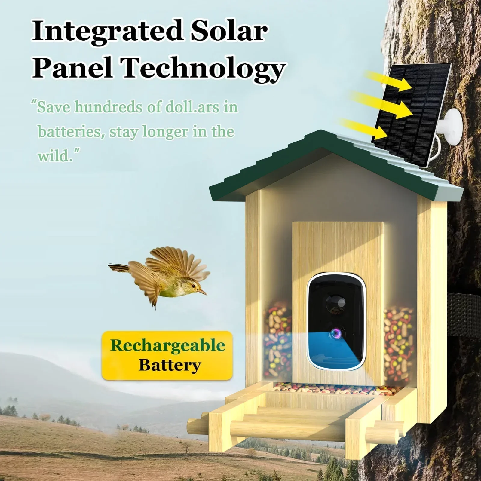 In stock Bamboo with Solar Pow - Smart Bird Feeder Camera review and price