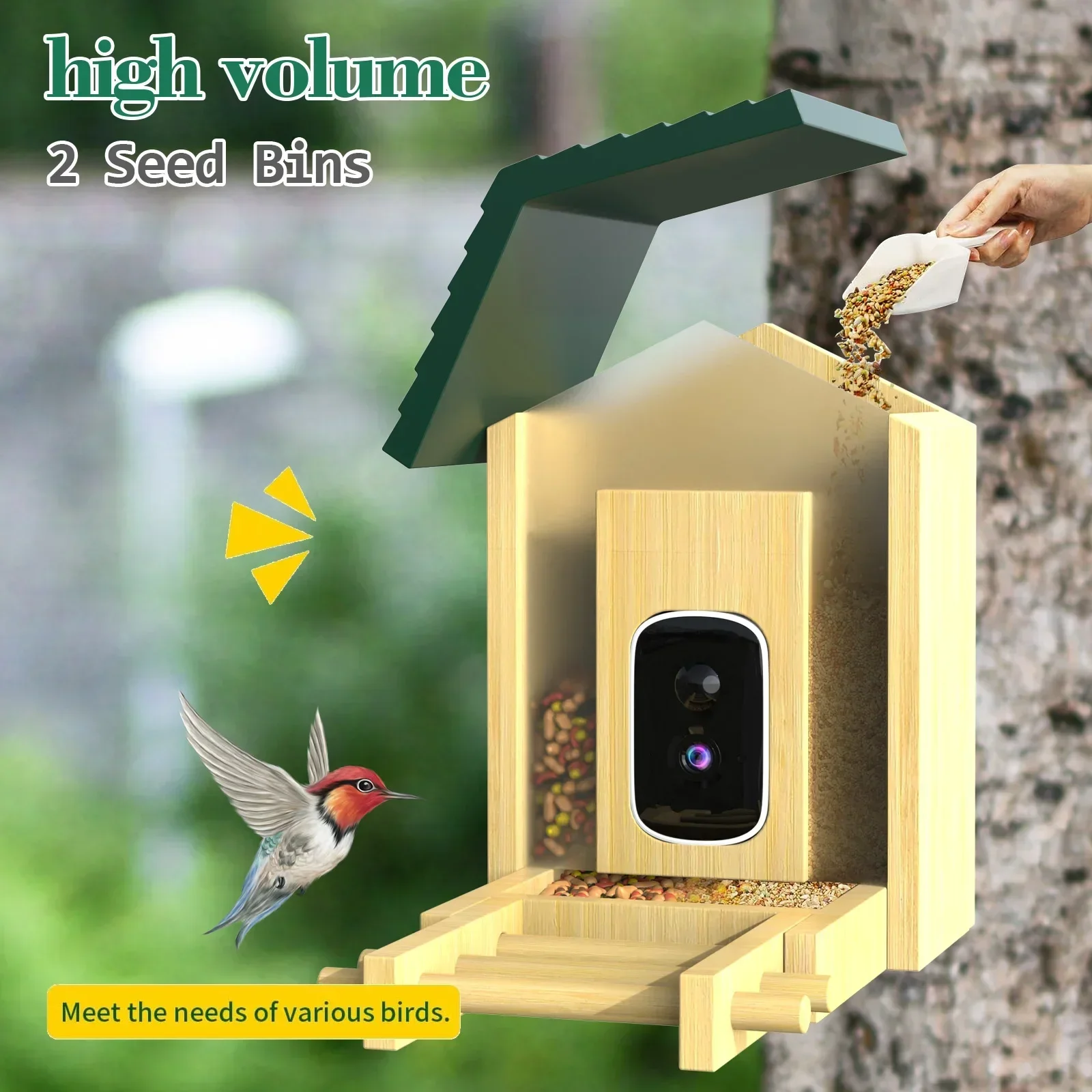 In stock Bamboo with Solar Pow - Smart Bird Feeder Camera review and price