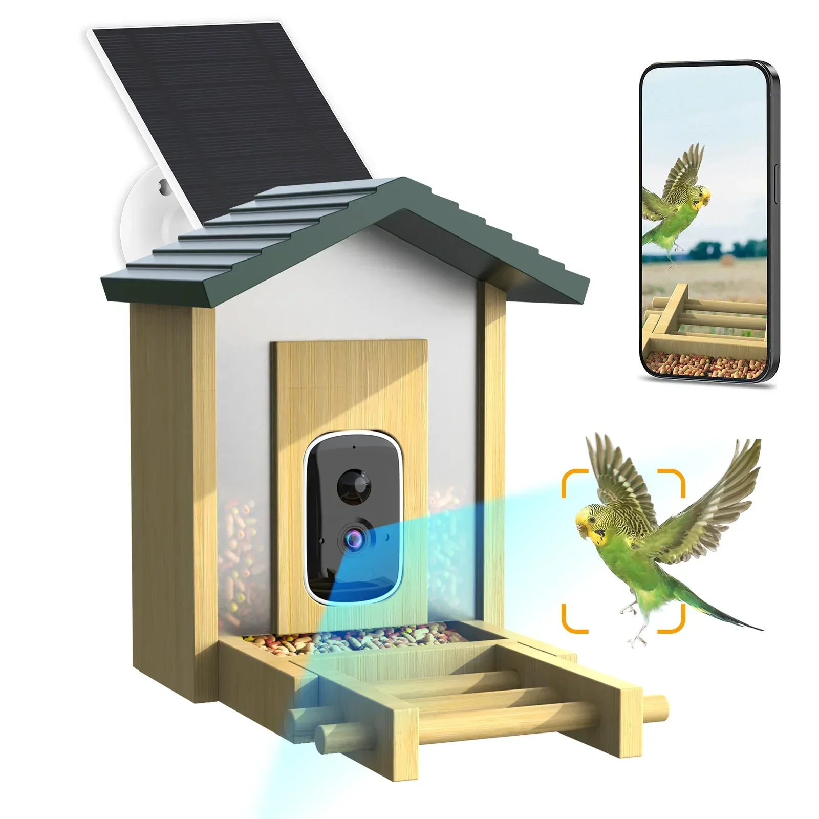 In stock Bamboo with Solar Pow - Smart Bird Feeder Camera review and price