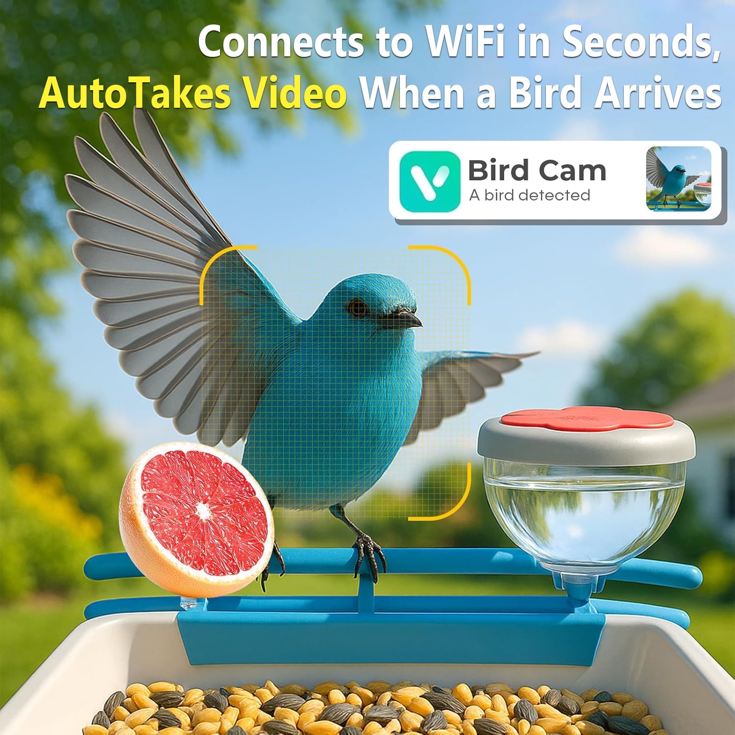 Smart Bird Feeder Camera 2K Li - Smart Bird Feeder Camera review and price