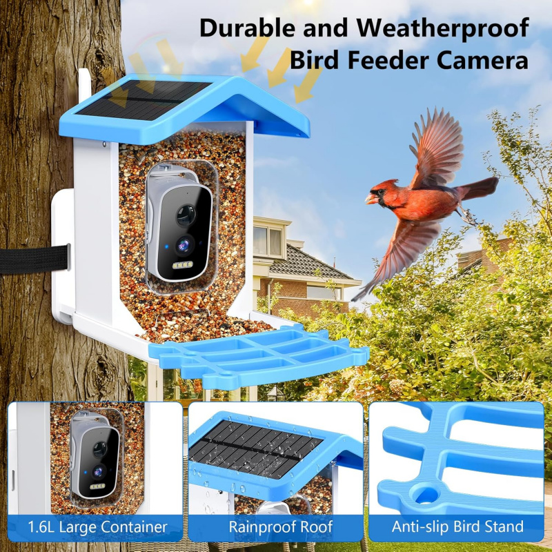 WiFi Smart Bird Feeder with Ca - Smart Bird Feeder Camera review and price