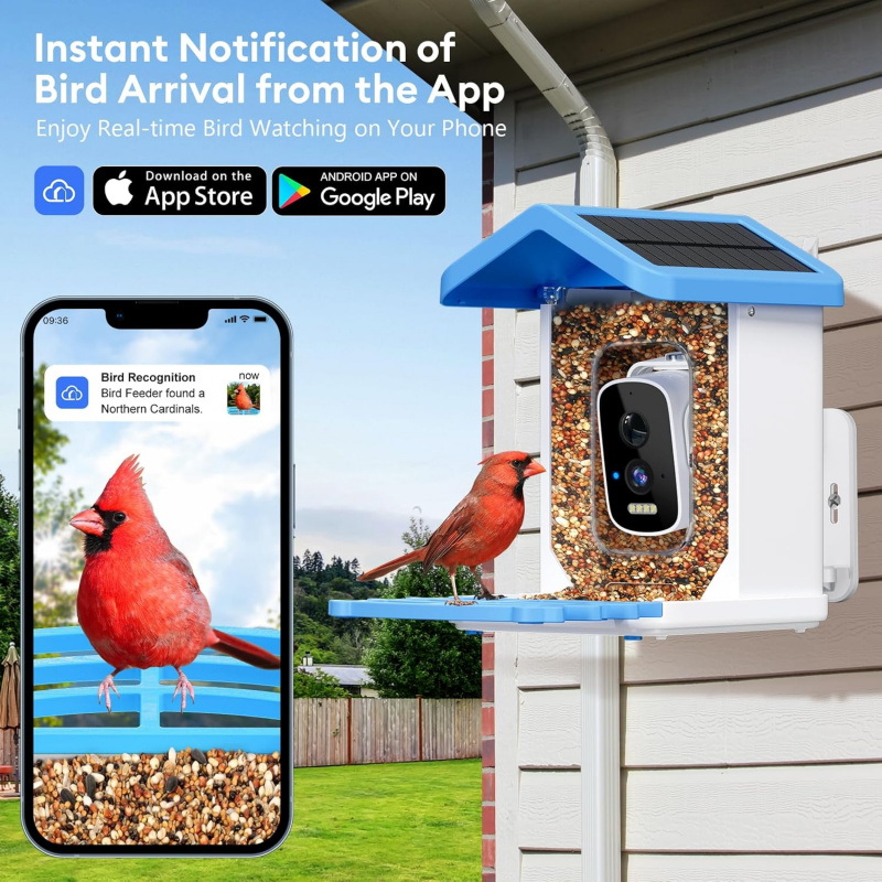 WiFi Smart Bird Feeder with Ca - Smart Bird Feeder Camera review and price