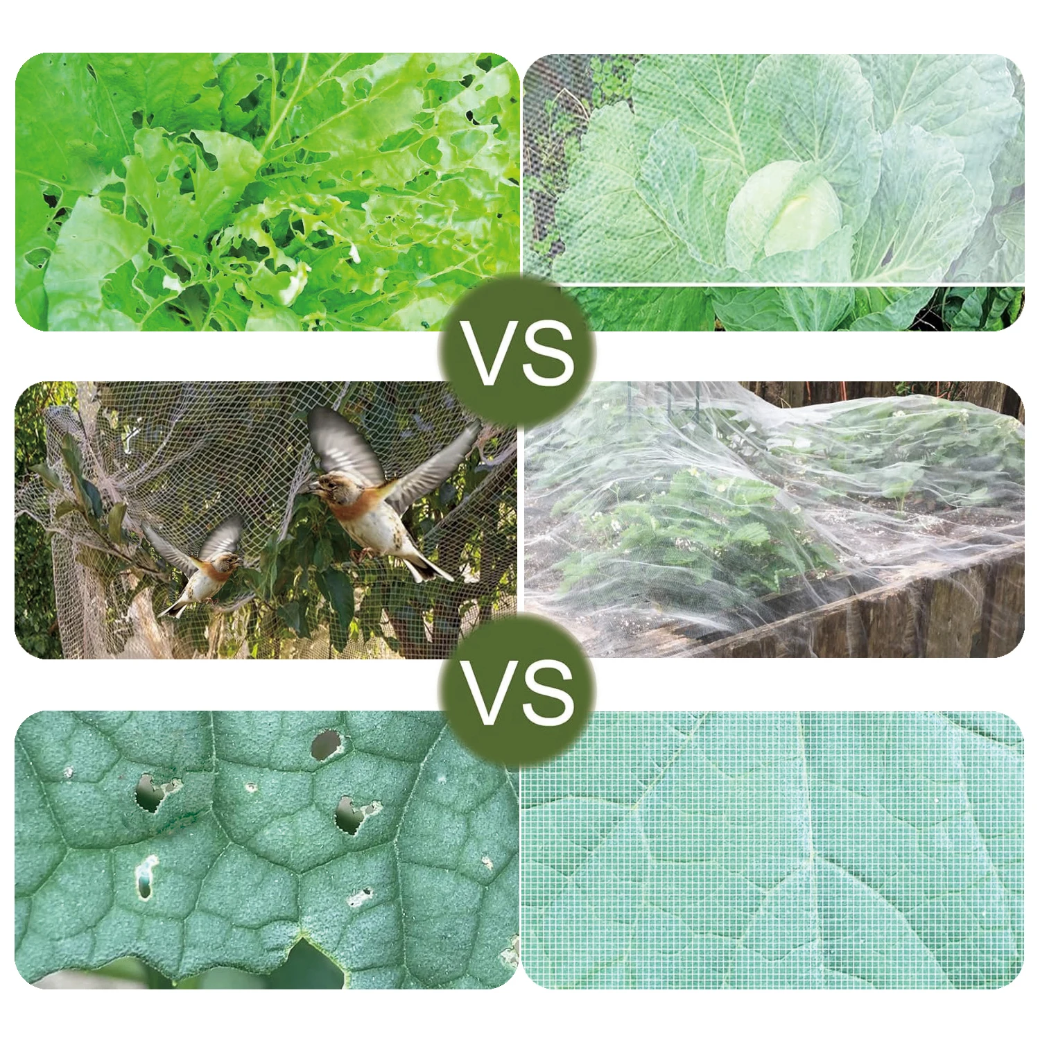 Insect Protection Net Garden P - Smart Garden Greenhouse review and price