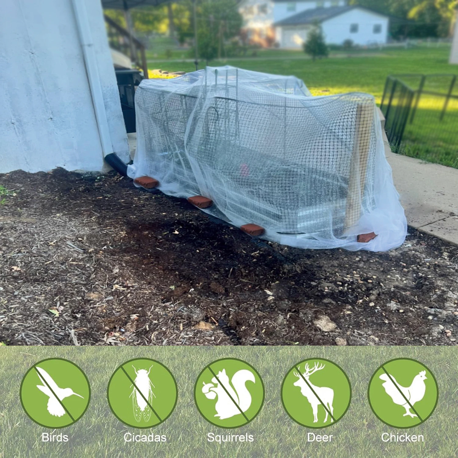 Insect Protection Net Garden P - Smart Garden Greenhouse review and price