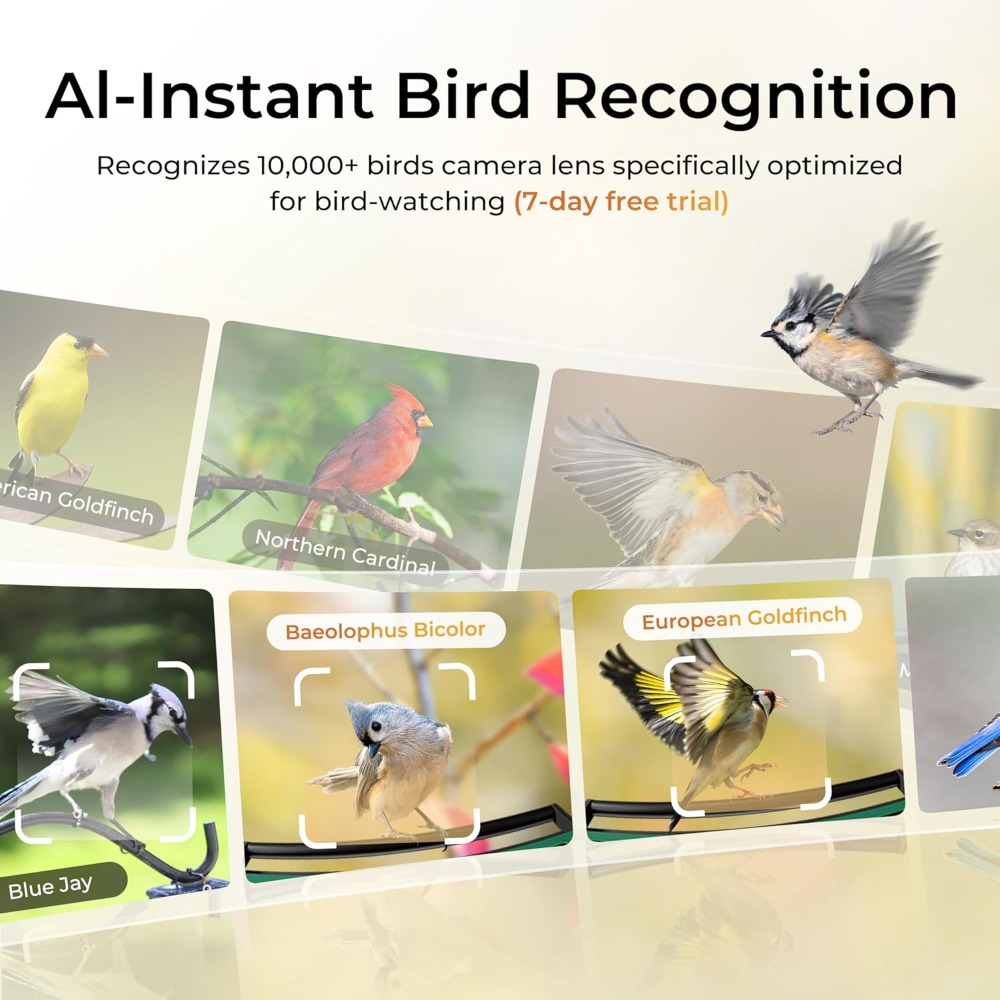 Smart Bird Feeder with Camera, - Smart Bird Feeder Camera review and price