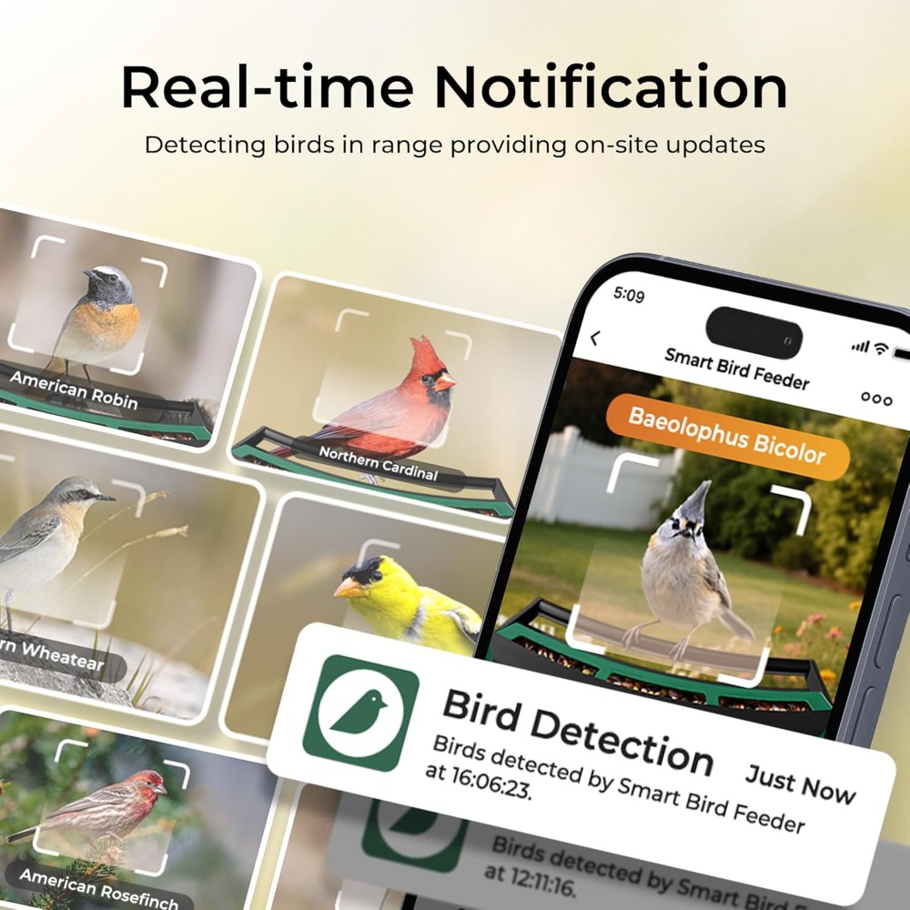 Smart Bird Feeder with Camera, - Smart Bird Feeder Camera review and price