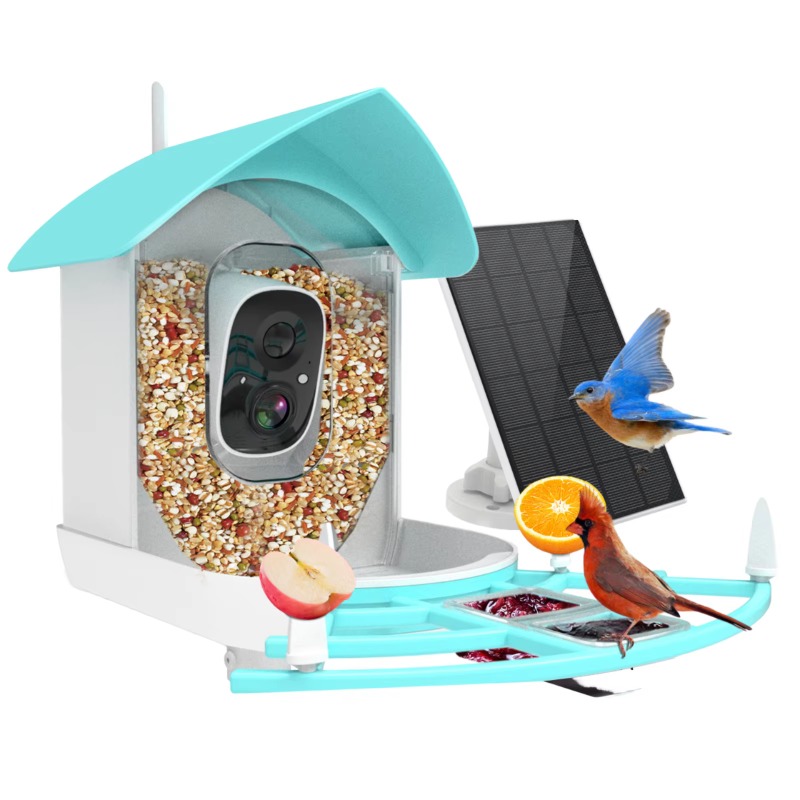 Smart Bird Feeder Night Vision - Smart Bird Feeder Camera review and price