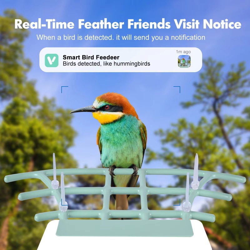 Smart Bird Feeder Night Vision - Smart Bird Feeder Camera review and price