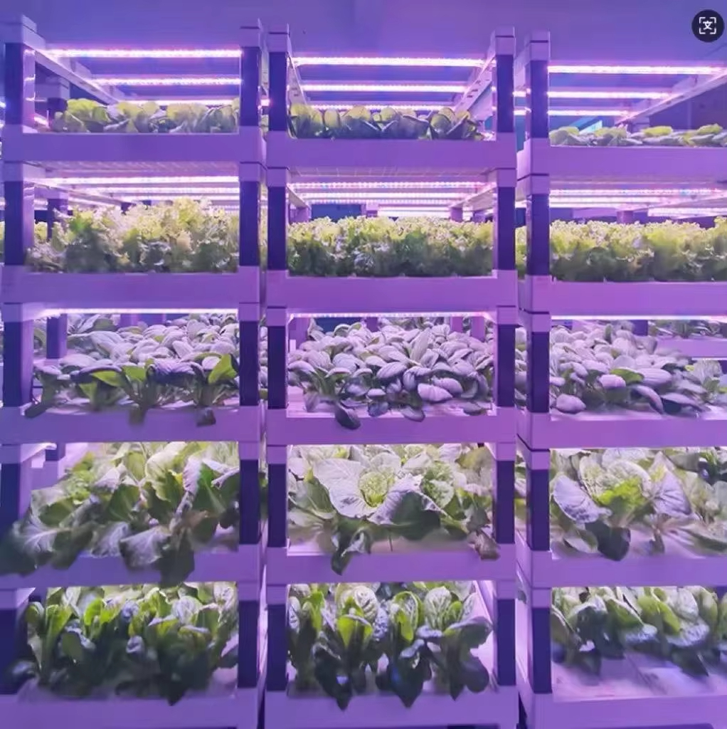 Hydroponic Grow System Greenho - Smart Garden Greenhouse review and price