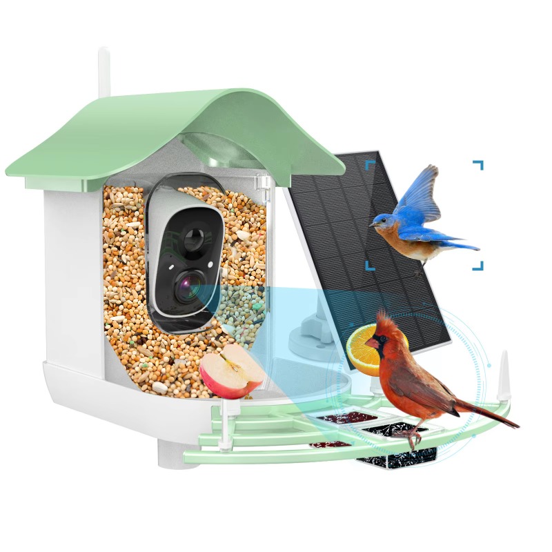 2026 App Video Auto Capture Ca - Smart Bird Feeder Camera review and price